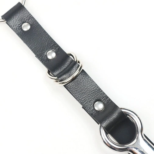 5853 Collar Hook Leash Anal and EverydayUse Kinky with 0122